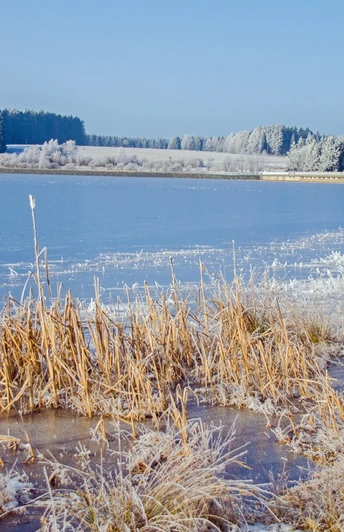 Talsperre Muldenberg