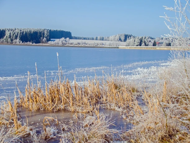 Talsperre Muldenberg