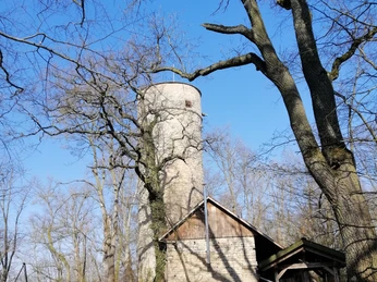 Burg Grubenhagen burg-grubenhagencastle-grubenhagenslot-grubenhagenkasteel-grubenhagen