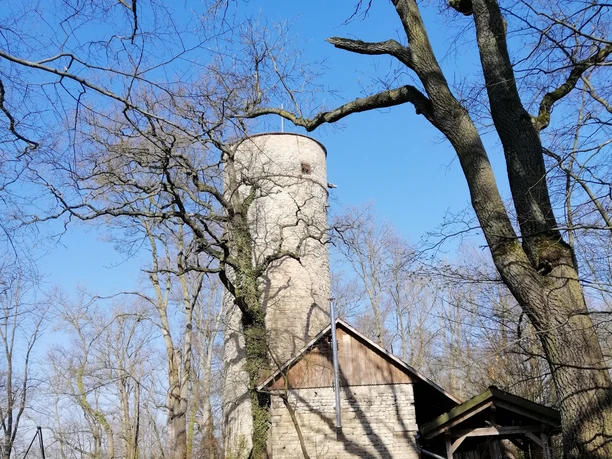 Burg Grubenhagen burg-grubenhagen