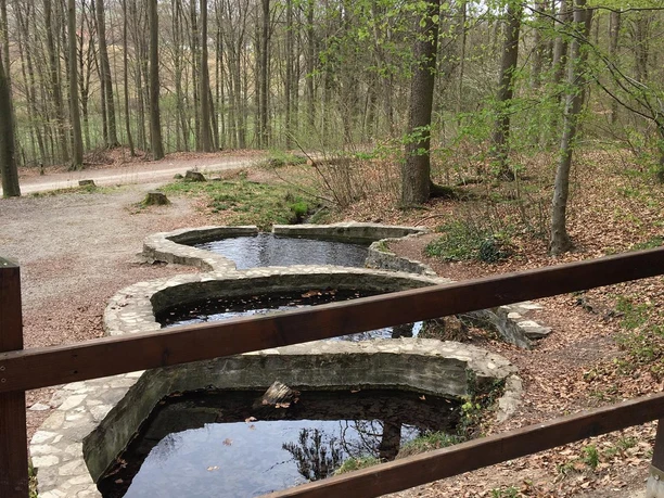 1Ducksteinquelle bei Moringen Die drei Becken der Ducksteinquelle im Wald bei Moringen.