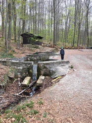 ducksteinquelle-bei-moringen-wasserfall