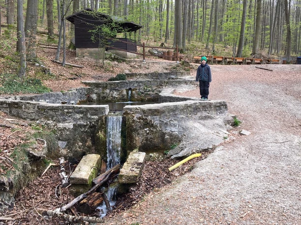 ducksteinquelle-bei-moringen-wasserfall