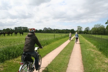 Radfahrer genießen eine malerische Tour auf einem flachen Weg zwischen grünen Wiesen und Pferden.