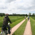 Radfahrer genießen eine malerische Tour auf einem flachen Weg zwischen grünen Wiesen und Pferden.