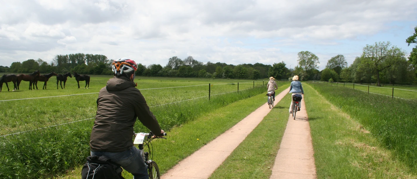 Radfahrer genießen eine malerische Tour auf einem flachen Weg zwischen grünen Wiesen und Pferden.