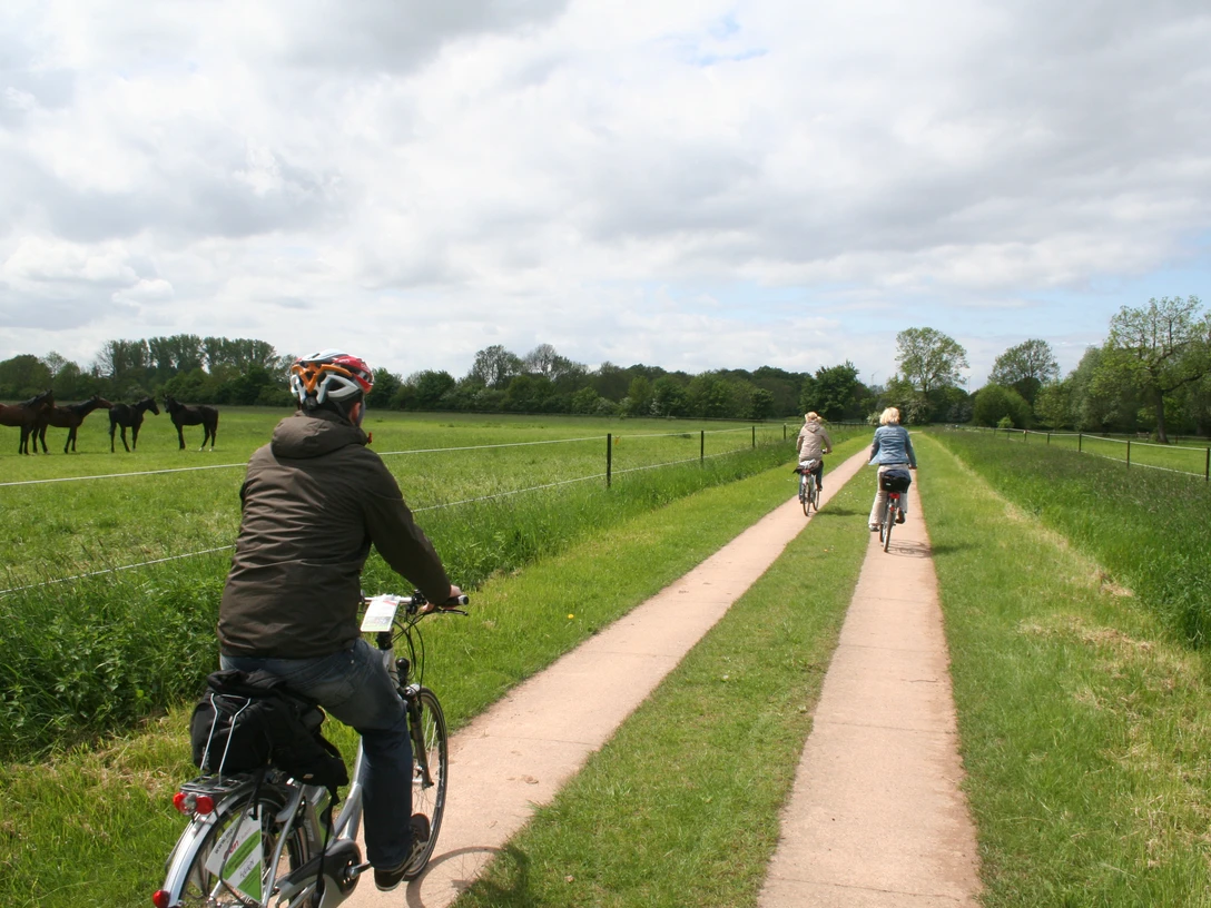 Mittelweser-Region-Radfahren Radfahrer genießen eine malerische Tour auf einem flachen Weg zwischen grünen Wiesen und Pferden.