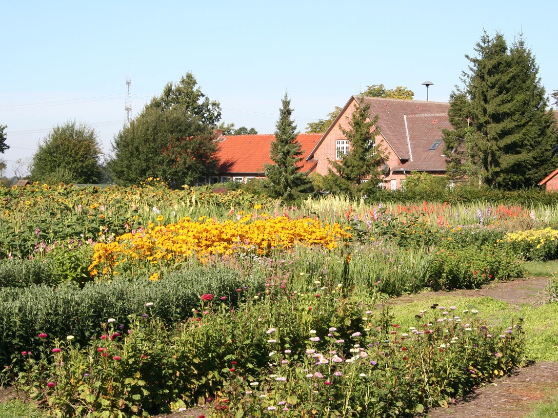 Ein weitläufiges Blumenfeld mit bunten Blüten vor roten Ziegeldächern unter klarem blauen Himmel.