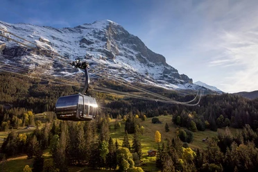 eiger-express-herbst-gondel-eigernordwand-sonne-wald.jpg