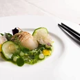 Taku Eine elegante Jakobsmuschel ruht auf einem weißen Teller, umgeben von filigranen Kräutern, Gurkenscheiben und Schaum, serviert mit Essstäbchen.An elegant scallop placed on a white plate, surrounded by delicate herbs, cucumber slices, and foam, served alongside chopsticks.