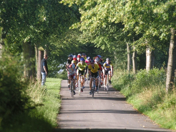 Eine Radfahrergruppe fährt auf einem schmalen, von Bäumen gesäumten Weg durch eine grüne Landschaft.