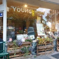 youngart-galerie-in-der-kunstapotheke-schaufenster