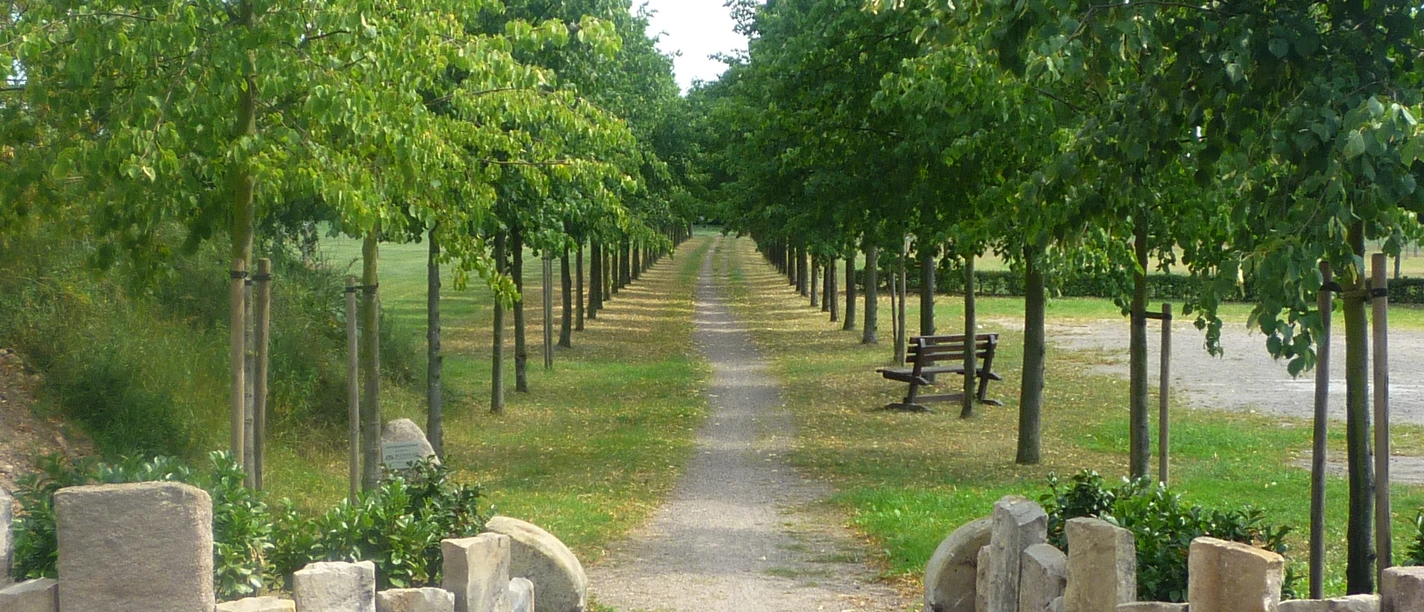 Jahrtausendallee Baumpark Thedinghausen Baumpfad mit gepflastertem Weg, gesäumt von grünen Bäumen und Sitzbänken neben einer Kiesfläche.