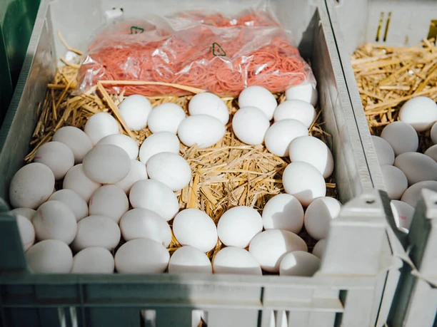 Weekly market on Neptunplatz Fresh white eggs lie in gray crates on a bed of straw.