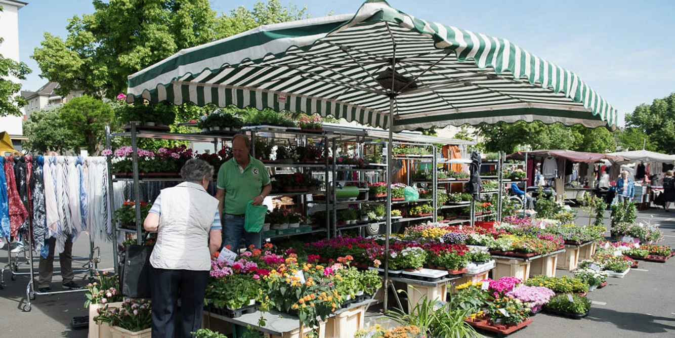 Wochenmarkt auf dem Auerpackplatz Auf dem lebhaften Wochenmarkt am Kölner Auerbachplatz zeigen Händler stolz bunte Pflanzen.Traders proudly display colorful plants at the lively weekly market on Cologne's Auerbachplatz.