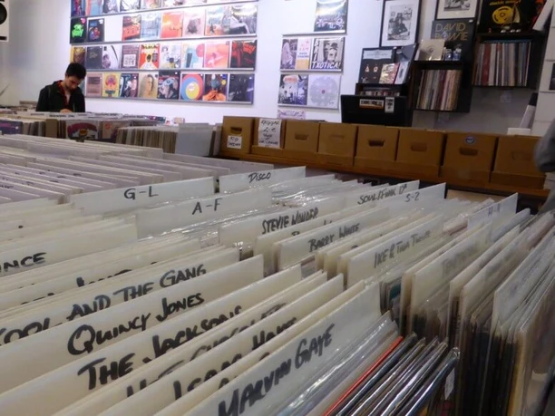 Parallel Schallplatten A person searches through a multitude of records in a record store. The front shelves are filled with labeled vinyl sleeves, with vinyl covers on the wall above them.