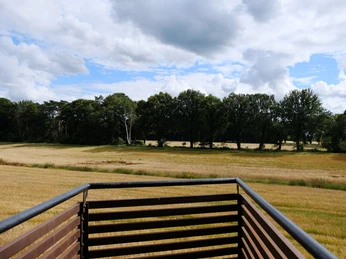 DSCF7902.JPG Blick von einem Balkon auf ein goldenes Getreidefeld, umrahmt von grünen Bäumen unter bewölktem Himmel.