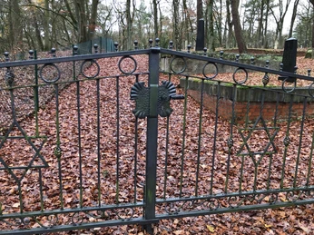 Jüdischer Friedhof Hoyerhagen Eisernes Tor mit Davidstern am Eingang eines von Herbstlaub bedeckten, historischen Friedhofs im Wald.