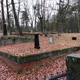 Jüdischer Friedhof umgeben von Bäumen, viele alte Grabsteine, roter Laubteppich bedeckt den Boden.