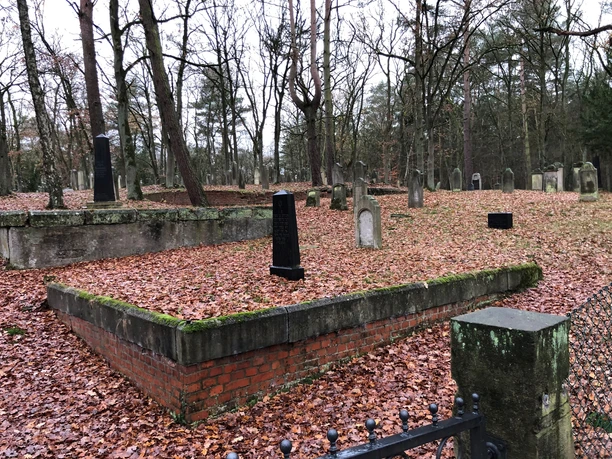 Jüdischer Friedhof umgeben von Bäumen, viele alte Grabsteine, roter Laubteppich bedeckt den Boden.
