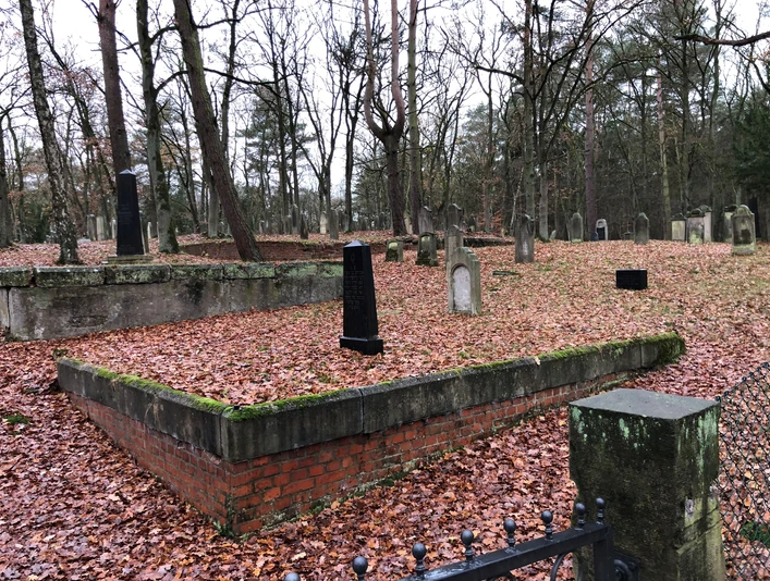 Jüdischer Friedhof Hoyerhagen Jüdischer Friedhof umgeben von Bäumen, viele alte Grabsteine, roter Laubteppich bedeckt den Boden.