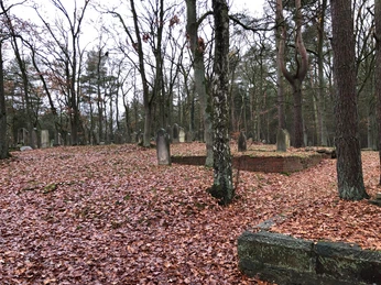 Jüdischer Friedhof Hoyerhagen Herbstlich bedeckter Friedhof mit alten Grabsteinen und hohen Bäumen, ruhige und zurückgezogene Atmosphäre.