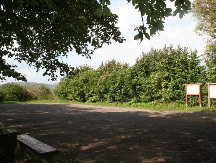 Wanderparkplatz "Holzhauser Berg" Wanderparkplatz Holzhauser Berg mit Bank im Vordergrund, umgeben von dichten Bäumen und Sträuchern.