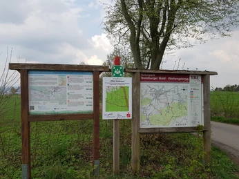 Informationstafeln am Wanderparkplatz Holzhauser Berg Informationstafeln am Wanderparkplatz mit Karten und Routen im Teutoburger Wald bei leicht bewölktem Himmel.