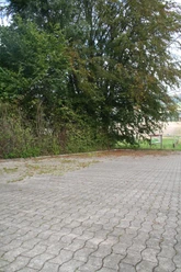 Wanderparkplatz "Nonnensteiner Weg" Großer, befestigter Parkplatz umgeben von Bäumen, idealer Ausgangspunkt für Wanderungen.