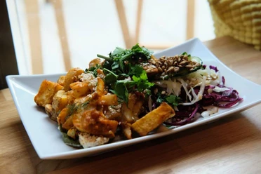 Sattgrün Ein rechteckiger Teller mit einer ansprechend angerichteten vegetarischen Mahlzeit. Links auf dem Teller befinden sich knusprig gebratene Tofu-Stücke, garniert mit einer Kräutersauce. Rechts ist ein knackiger, bunter Salatmix aus Rotkohl, Weißkohl, Rucola und Sonnenblumenkernen zu erkennen, der frisch und farbenfroh wirkt.