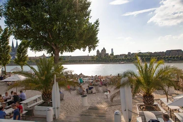 km 689 Cologne - Beach Club Sandstrand am Rheinufer mit Palmen und Sitzgelegenheiten, dominiert von einem beeindruckenden Flussblick auf den Kölner Dom und die Stadtlandschaft im Hintergrund, bei sonnigem Wetter.