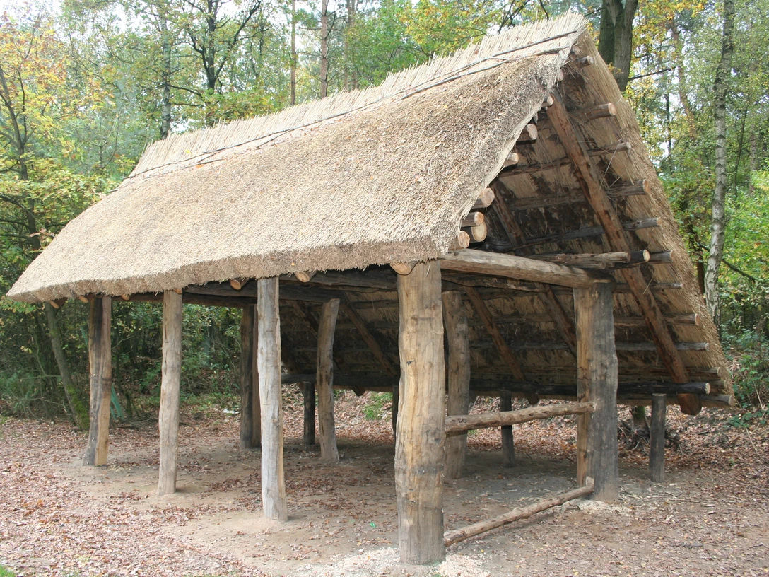 Grasgedecktes Holzgebäude im Wald mit rustikaler Struktur und umgeben von herbstlichem Laub.