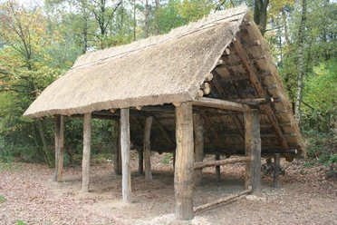 Altsachsenhütte Grasgedecktes Holzgebäude im Wald mit rustikaler Struktur und umgeben von herbstlichem Laub.