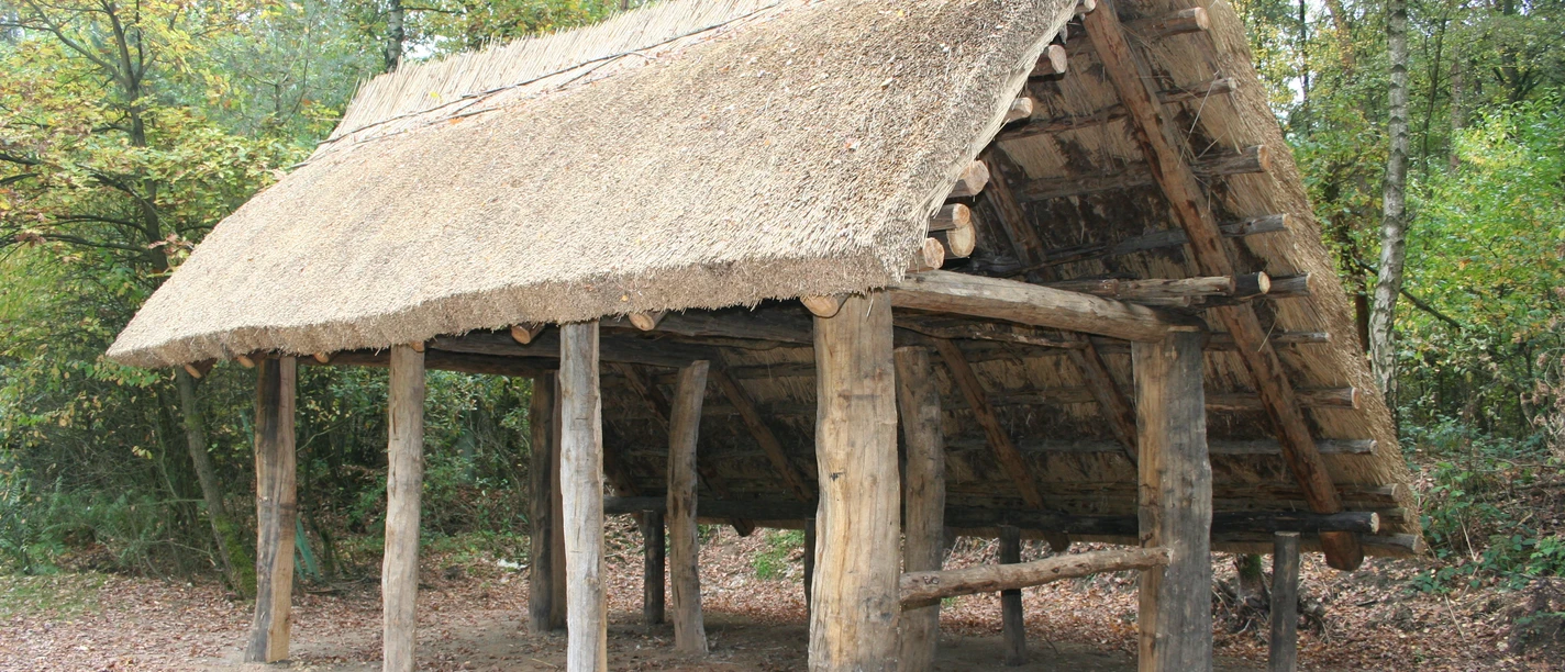 Altsachsenhütte Grasgedecktes Holzgebäude im Wald mit rustikaler Struktur und umgeben von herbstlichem Laub.