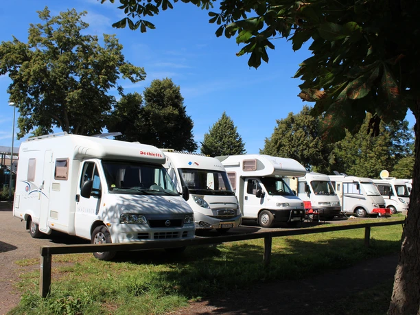 RV's are parked side by side in a parking lot, surrounded by trees under a blue sky.