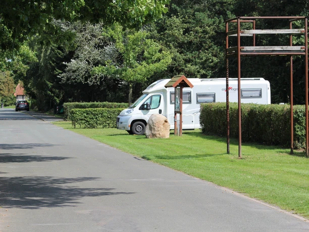 A motorhome is parked on a green parking spot next to shrubs and trees under a blue sky.
