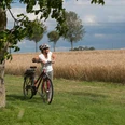 Eine Frau mit Fahrrad steht neben einem Baum vor einem weiten Getreidefeld unter blauem Himmel.
