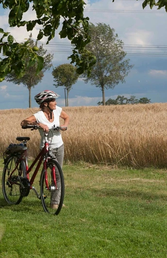 Eine Frau mit Fahrrad steht neben einem Baum vor einem weiten Getreidefeld unter blauem Himmel.