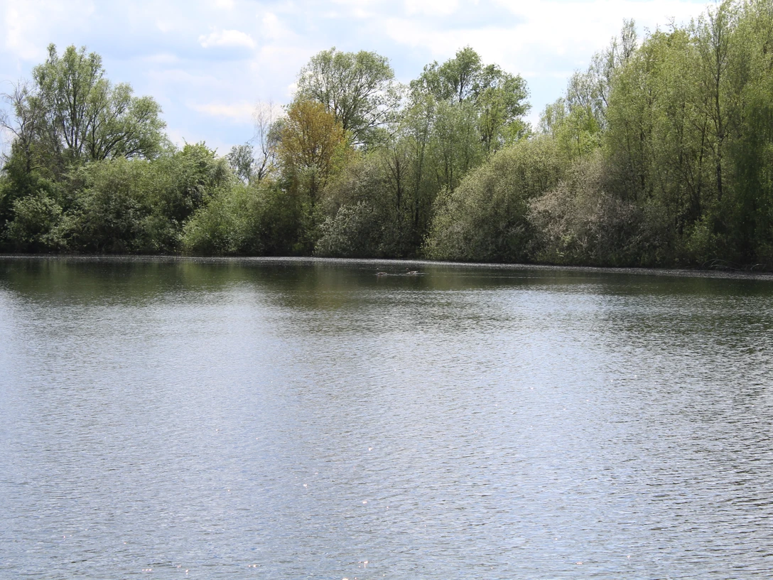 Ein ruhiger See umgeben von grünen Bäumen und strahlendem Himmel mit Wolkenformationen.