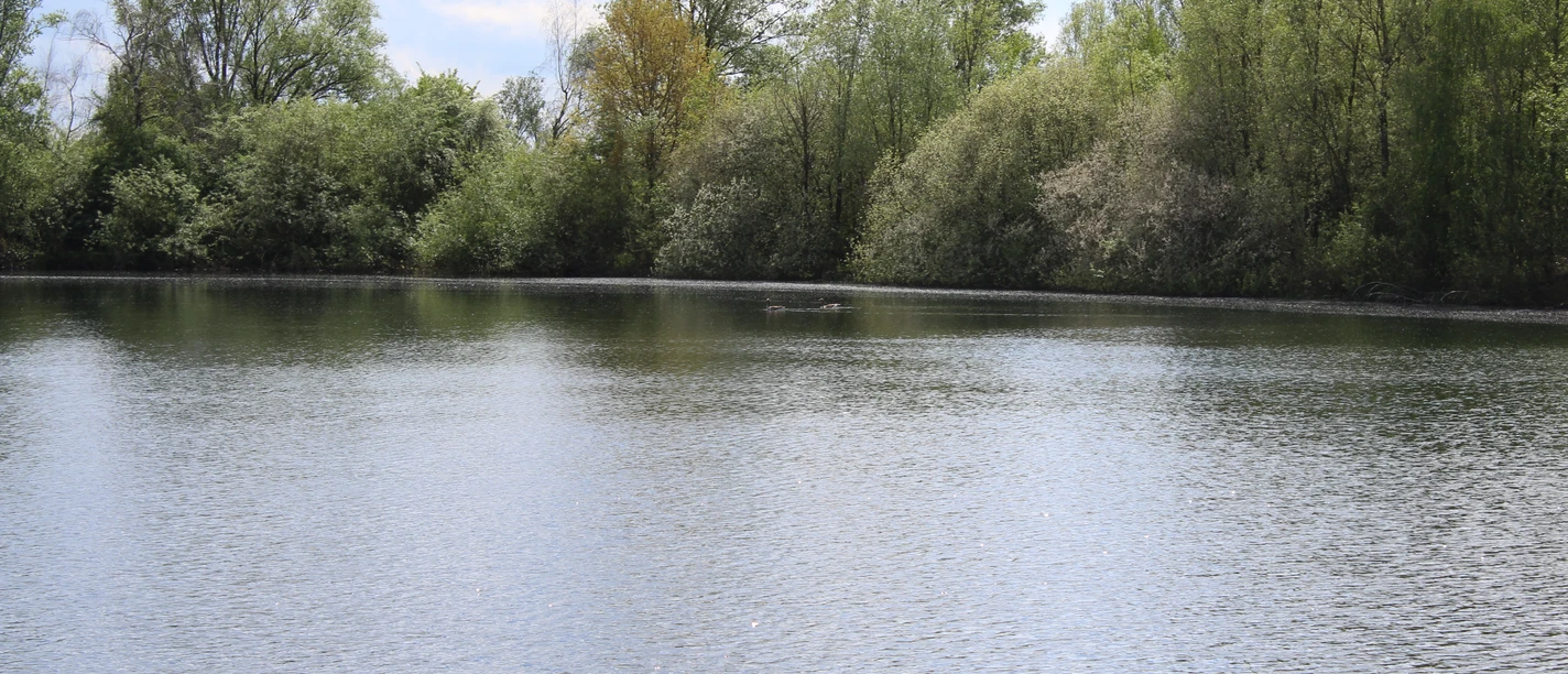 Ein ruhiger See umgeben von grünen Bäumen und strahlendem Himmel mit Wolkenformationen.