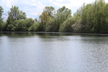 Ziegeleisee Hoya Ein ruhiger See umgeben von grünen Bäumen und strahlendem Himmel mit Wolkenformationen.