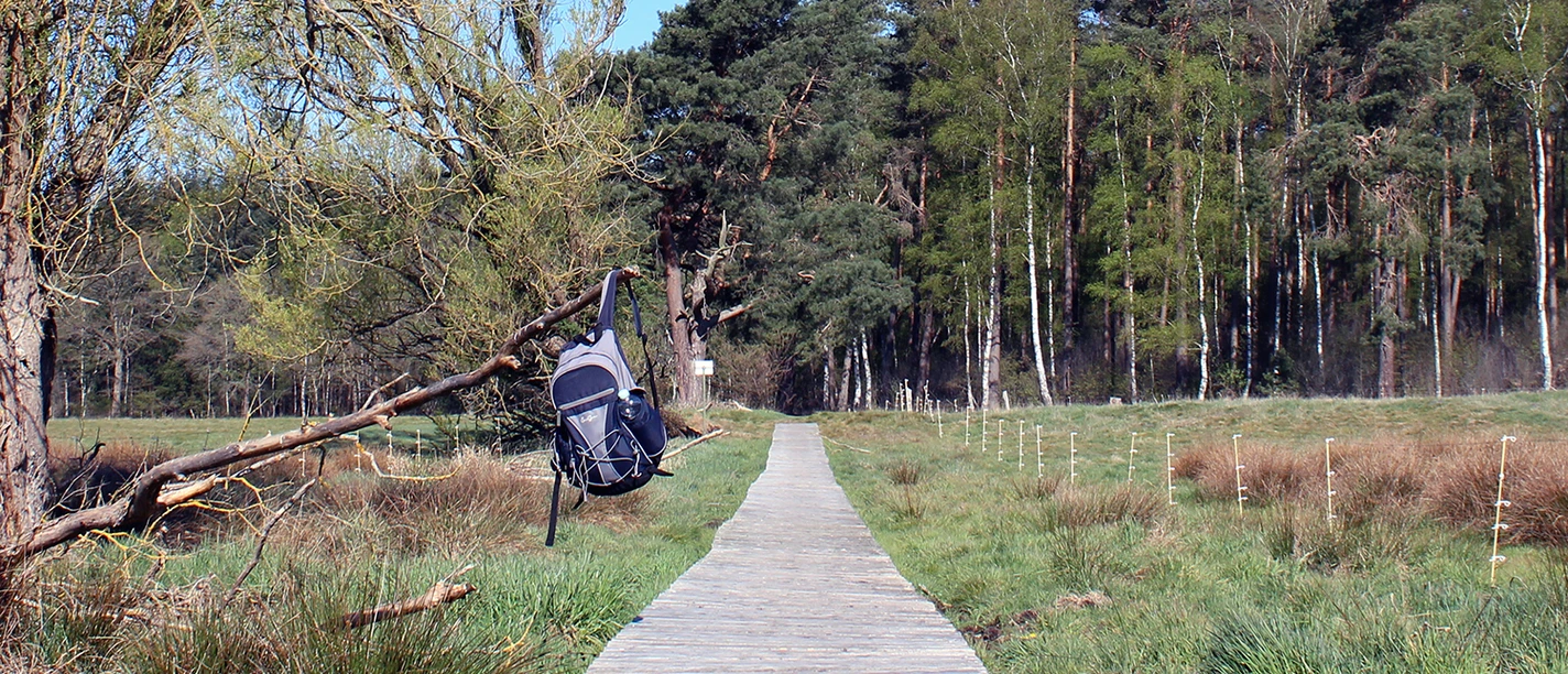 Bohlenweg Postmoor