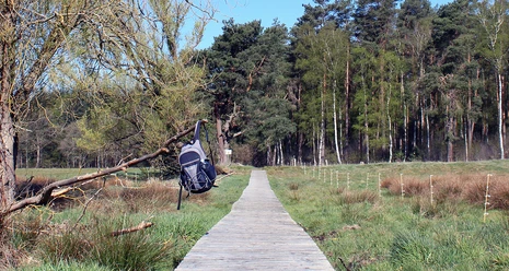 Bohlenweg Postmoor.jpg Bohlenweg Postmoor
