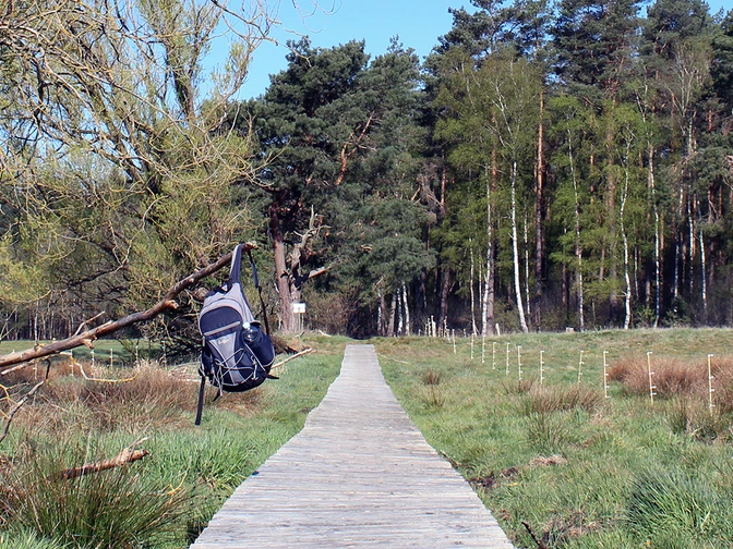 Bohlenweg Postmoor.jpg Bohlenweg Postmoor
