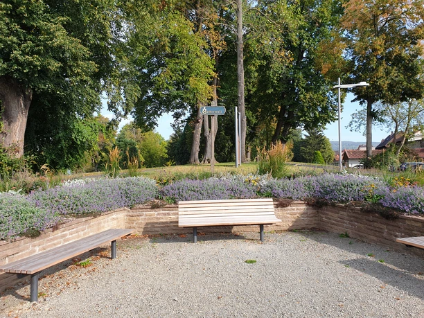 achterwand-oeverwand systeem