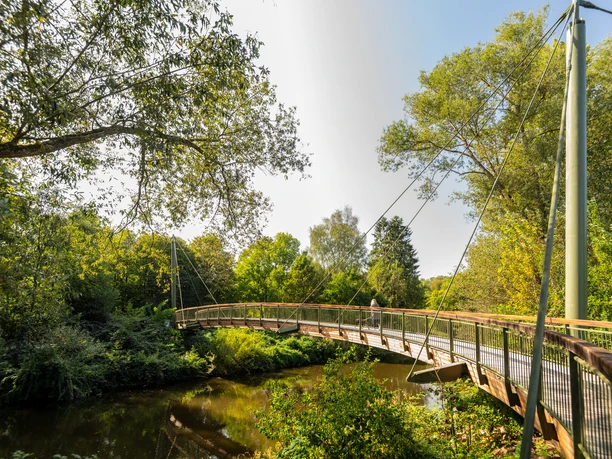 Aggerbogen <p>Moderne Fußgängerbrücke überspannt Fluss, umgeben von üppigem Grün und sonnendurchfluteten Bäumen.</p>