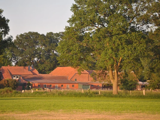Moorhof Landesbergen Ein rotes Backsteingebäude mit roten Ziegeldächern steht malerisch eingebettet zwischen grünen Bäumen.