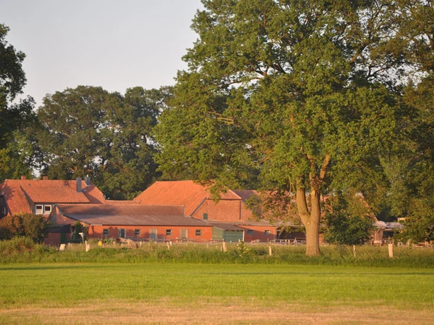 Moorhof Landesbergen Ein rotes Backsteingebäude mit roten Ziegeldächern steht malerisch eingebettet zwischen grünen Bäumen.