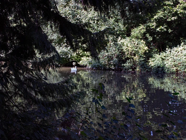 Krähengraben_Teich kraehengraben-teich
