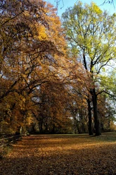 Offiziersgarten_im Herbst offiziersgarten-im-herbst